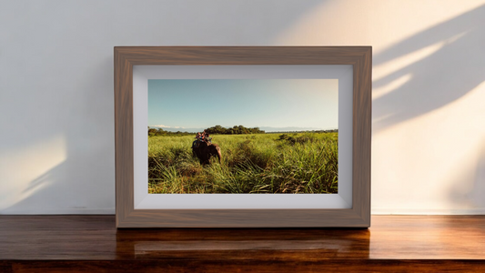 MemoryFrame© 2.0